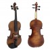 Firefeel S-14244 Violina